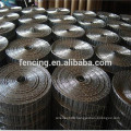 Electro/hot dipped galvanized welded wire mesh in rolls